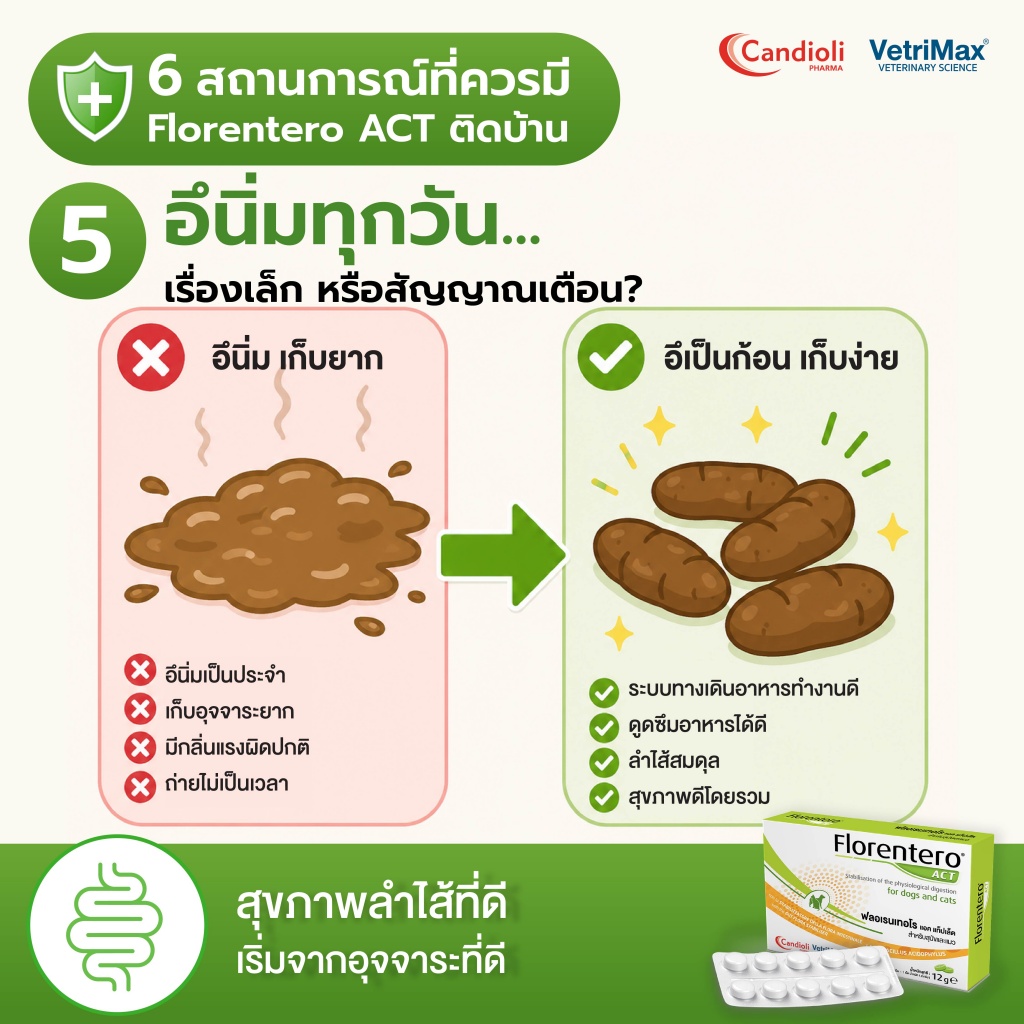Florentero ACT 6 สถานการณ์_P 5.jpg